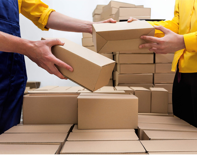 domestic packers and movers